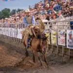 p6050919-enhanced-nr