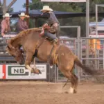 p6050931-enhanced-nr