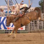 p6050935-enhanced-nr