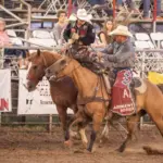 p6050940-enhanced-nr