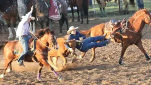 steer-wrestling