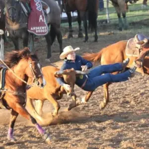 steer-wrestling