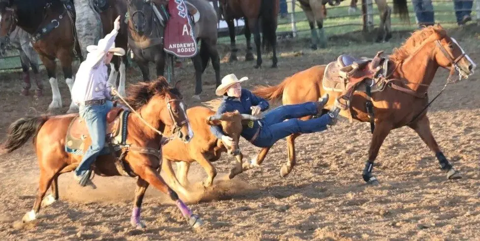 steer-wrestling
