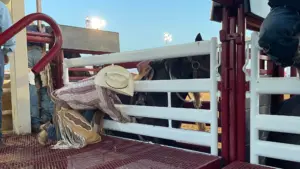 bronc-rider-readies_edited