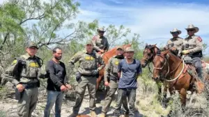 border-arrest-horses