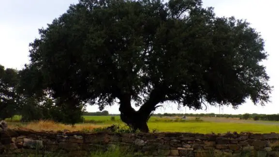 screenshot-2025-08-13-205735-2