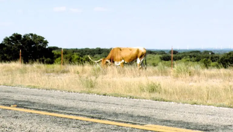 screenshot-2025-09-18-011659