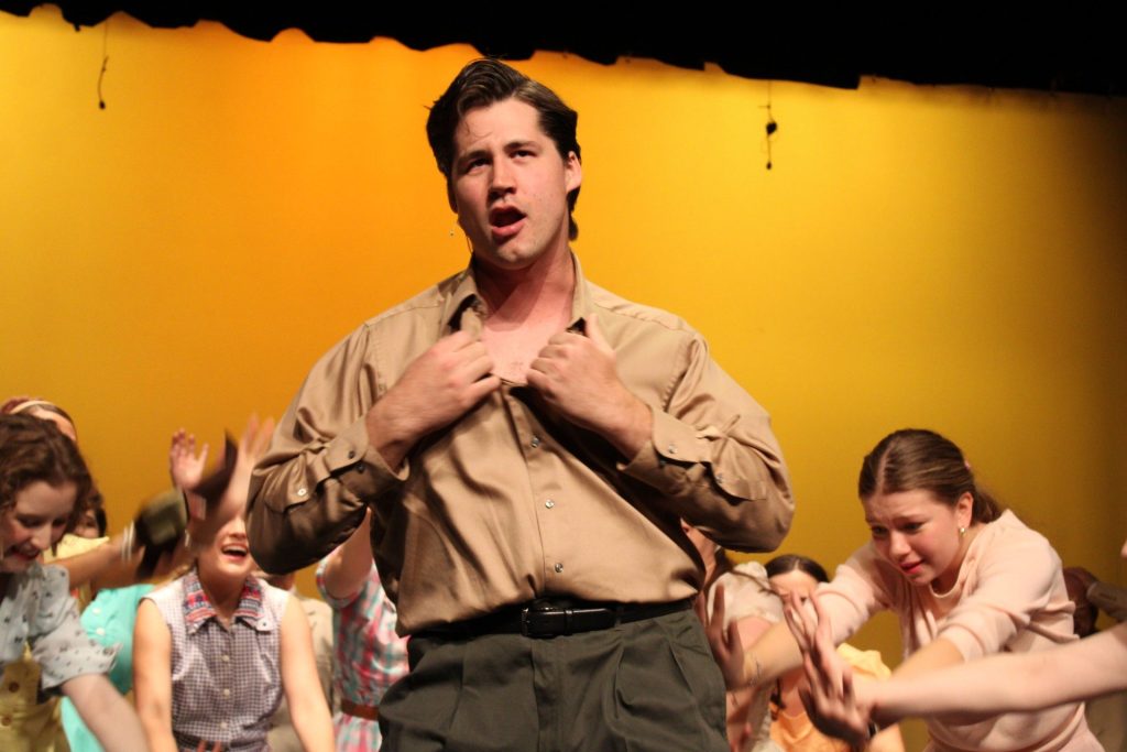 bye-bye-birdie-2-1024x683.jpg