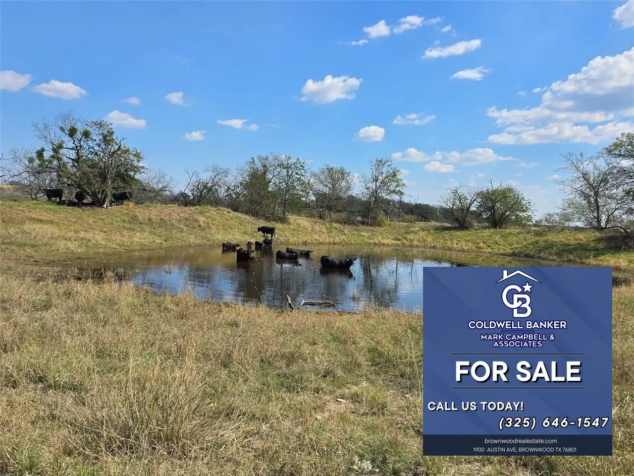 561781155_1390271116436126_6787174446715802885_n