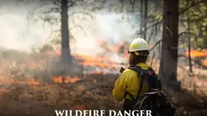 wildfire-danger