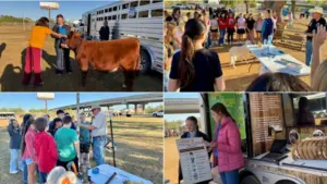 screenshot-2025-11-09-073437