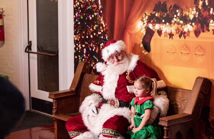 christmas-festival-12-11-2024-24_eeda0fa8-e595-3af1-6d8e0363f6dabd6b_eedc3579-0b92-2d25-7f03b36ce200b54c