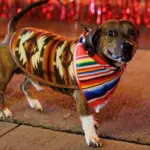 12042025-xmas-parade_2048-140-of-155