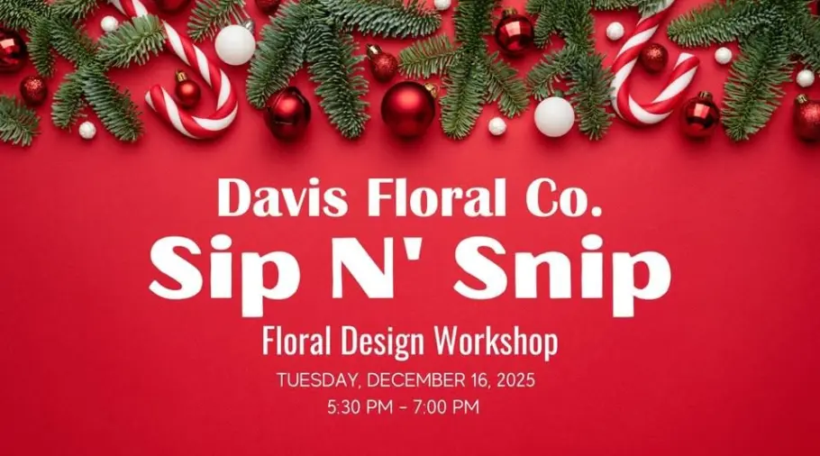 davis-dec_7d426e6d-e60e-bd69-aed6c969b9263dde_7d4b9d3e-0a75-6990-49ff7a67aefdf8ae