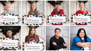 bhs_som_dec_collage_wd