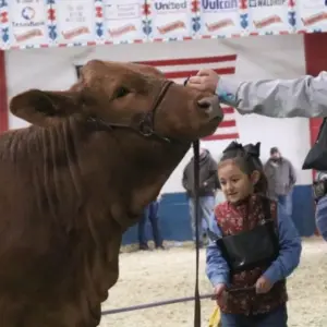 screenshot-2026-01-01-004457