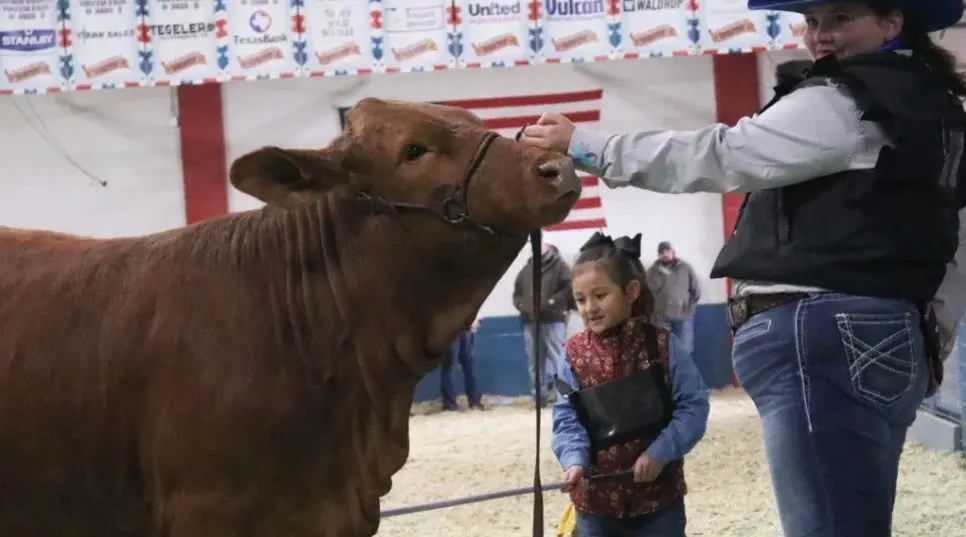 screenshot-2026-01-01-004457