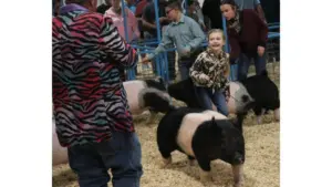 screenshot-2026-01-08-211609