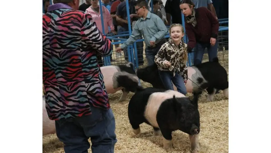 screenshot-2026-01-08-211609