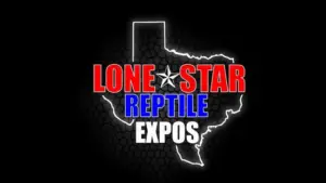 553723776_1384272120371807_8532731698477925491_n