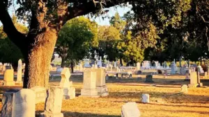 screenshot-2026-01-22-094357