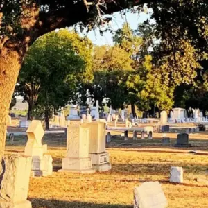 screenshot-2026-01-22-094357