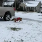 622555537_26072563589034483_7237827166594010117_n