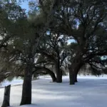 622807990_33341571818824509_1470310907561974525_n