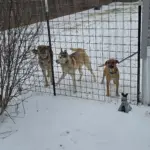 622845973_4260808160841707_1907279220939725238_n