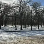 622857633_10163956859609074_6021944993242275134_n