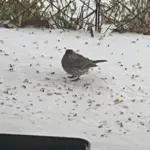 622906946_10234250189729365_4713164883772020503_n