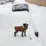 622912168_10238091185754401_5138761697749125934_n