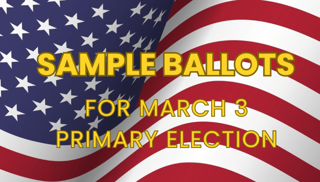 Sample ballots for March 3 Primary Election | Brownwood News