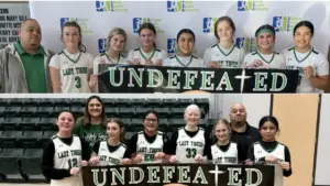 screenshot-2026-02-10-122807