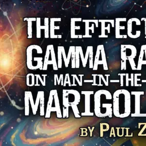 the-effect-of-gamma-rays_edited
