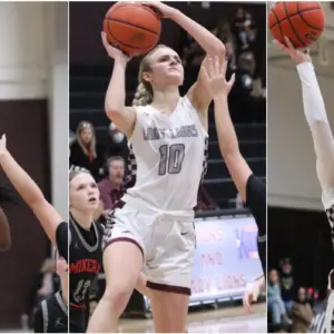 lady-lions-all-district-hoops