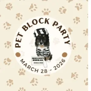 screenshot_20260313_125156_docx-reader