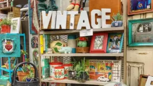 481901601_1030884752401358_2352353545629646152_n-2