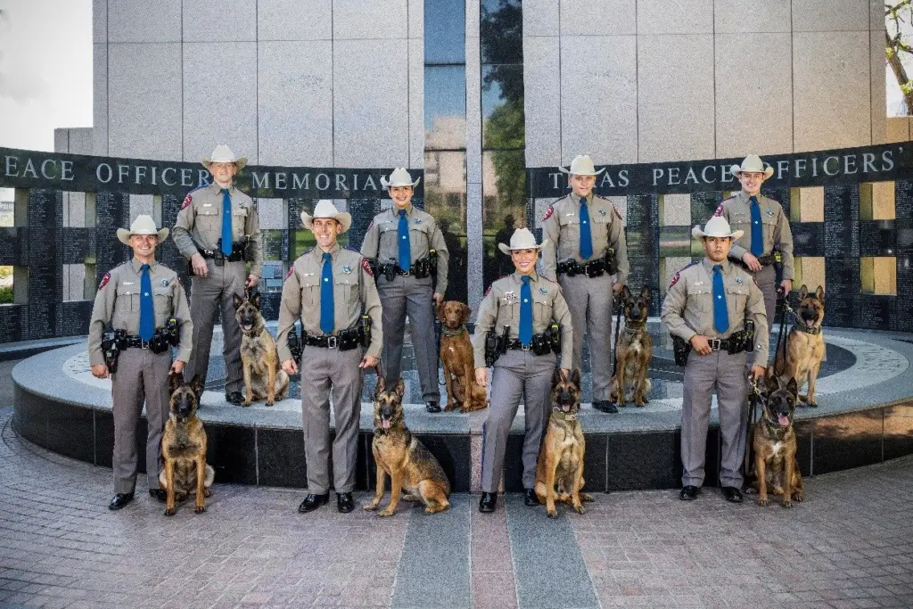 dp-k9-grads-26