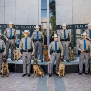 dp-k9-grads-26