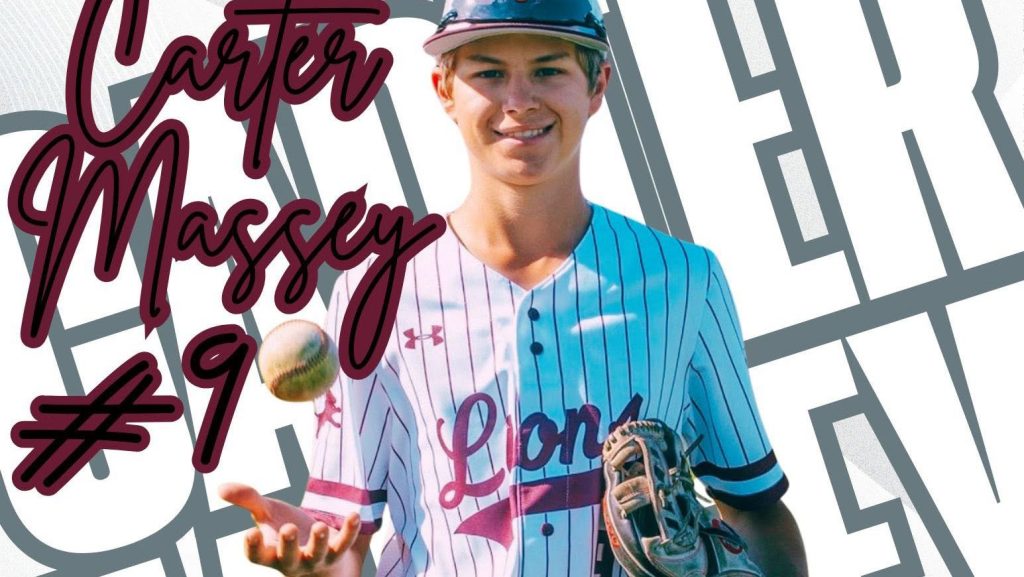Seven Lions earn all-district baseball honors