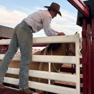 bronc-rider-gets-ready