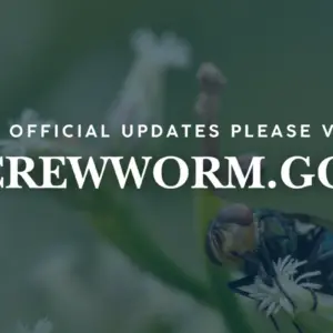 screwworm-gov