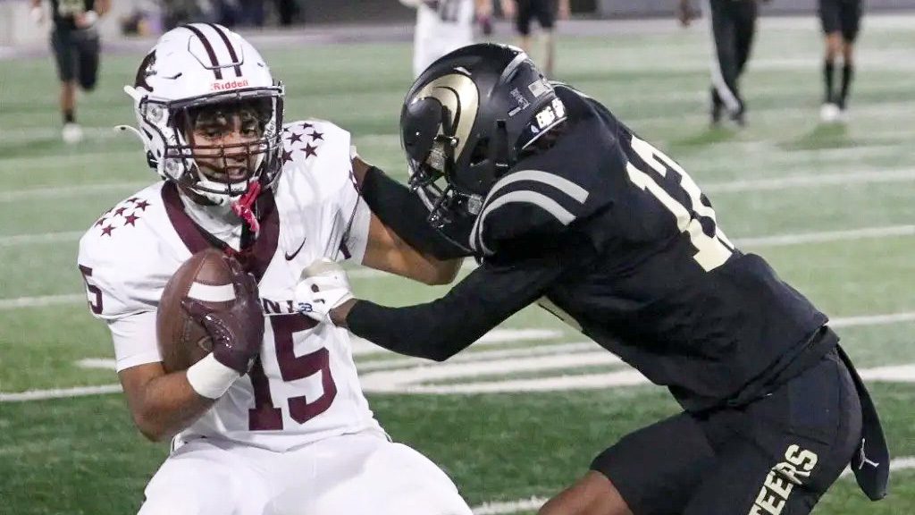 Lions ranked No. 24 in Class 4A Division II by DCTF