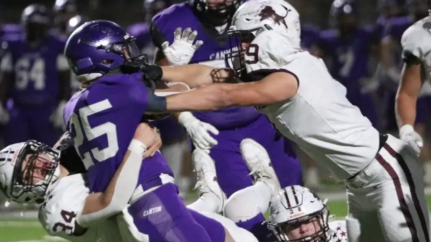 Read more about Lions picked third in district by DCTF magazine, 10 other local teams expected to reach playoffs