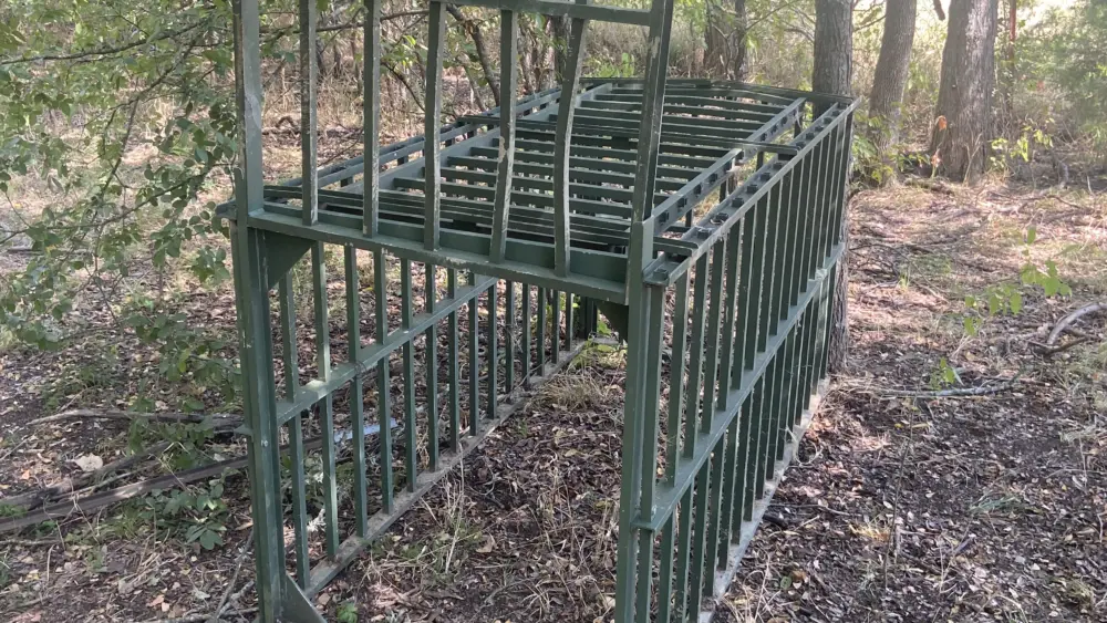 hog-trap