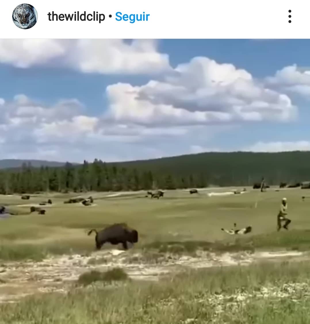 screenshot_20210204-082952_instagram