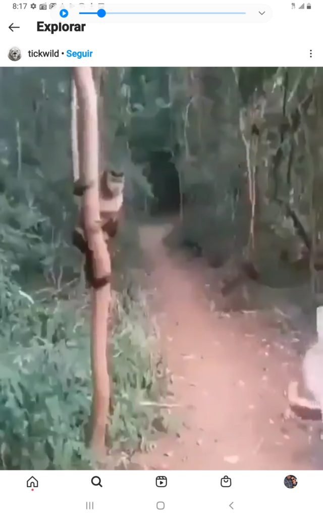 screenshot_20210629-081714_instagram