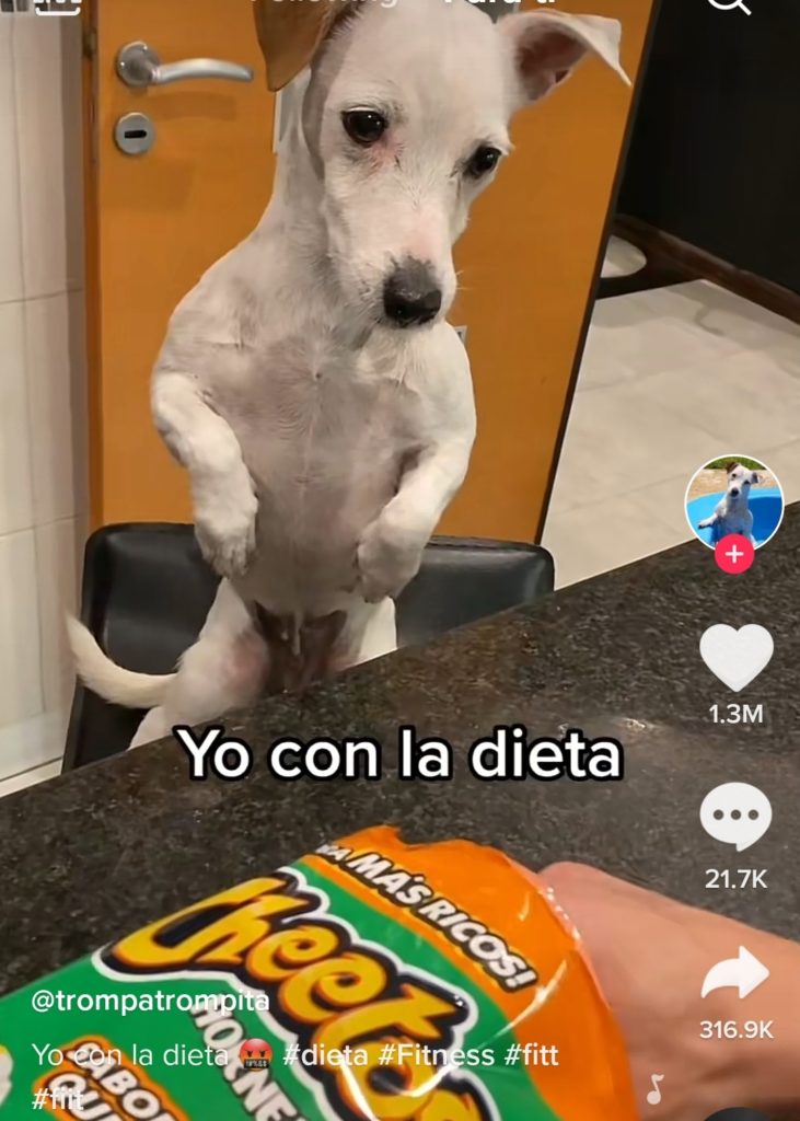 screenshot_20220414-102338_tiktok
