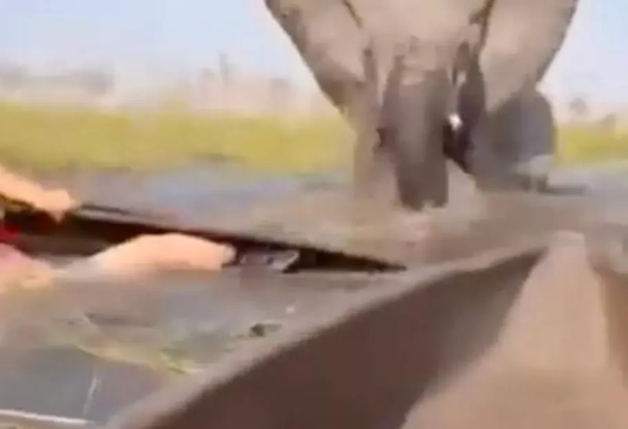 screenshot_20251006-082539